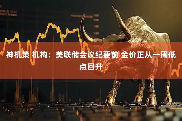 神机策 机构：美联储会议纪要前 金价正从一周低点回升