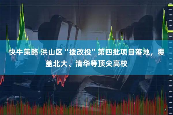 快牛策略 洪山区“拨改投”第四批项目落地，覆盖北大、清华等顶尖高校