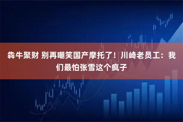 犇牛聚财 别再嘲笑国产摩托了！川崎老员工：我们最怕张雪这个疯子