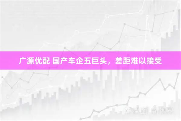 广源优配 国产车企五巨头，差距难以接受