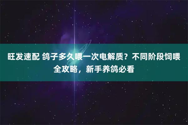 旺发速配 鸽子多久喂一次电解质?不同阶段饲喂全攻略,新手养鸽必看