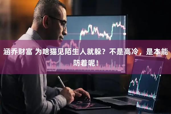 涵乔财富 为啥猫见陌生人就躲？不是高冷，是本能防着呢！