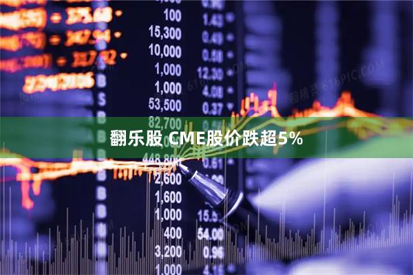 翻乐股 CME股价跌超5%