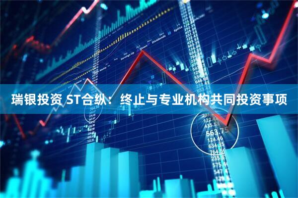 瑞银投资 ST合纵：终止与专业机构共同投资事项