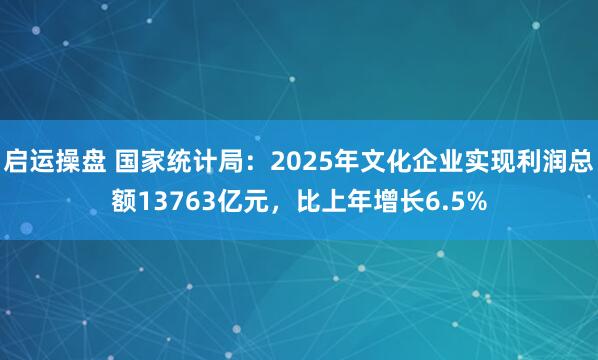 启运操盘 国家统计局：2025年文化企业实现利润总额13763亿元，比上年增长6.5%