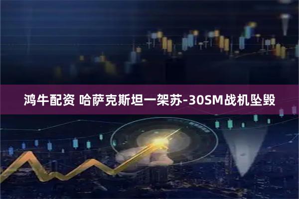 鸿牛配资 哈萨克斯坦一架苏-30SM战机坠毁