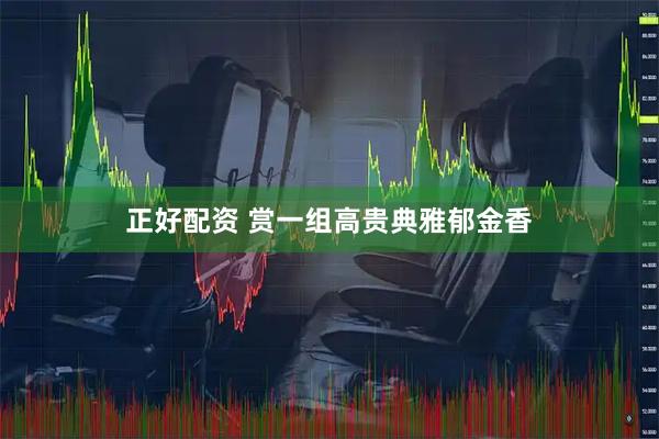 正好配资 赏一组高贵典雅郁金香
