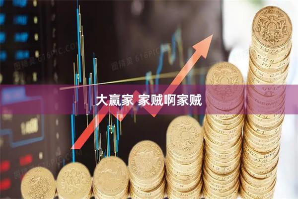 大赢家 家贼啊家贼