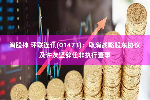 淘股神 环联连讯(01473)：取消战略股东协议及许友坚辞任非执行董事