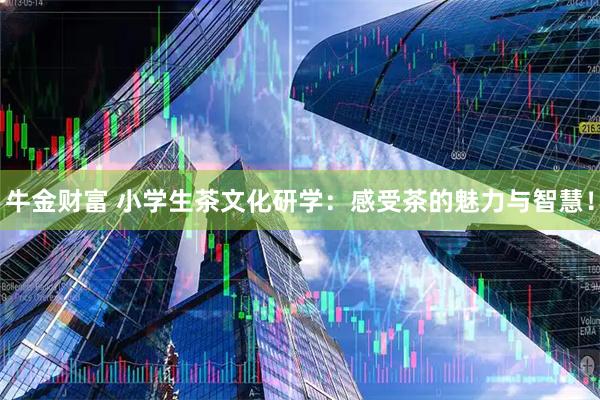 牛金财富 小学生茶文化研学：感受茶的魅力与智慧！